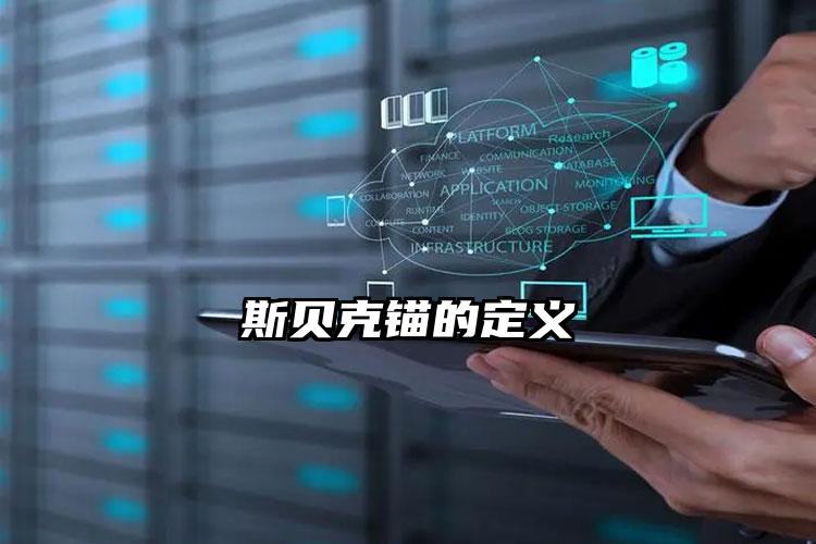 斯贝克锚的定义